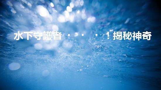 水下守護者！揭秘神奇水上清理機器人，保護海洋環(huán)境的無聲英雄！